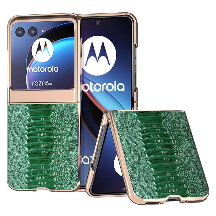 For Motorola Razr 40 Ultra 5G Crocodile Texture Thin Cover Genuine Cow Leather + PC Electroplating Phone Case - Green